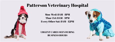 patterson veterinary hospital mason mi|dr patterson vet mason mi.